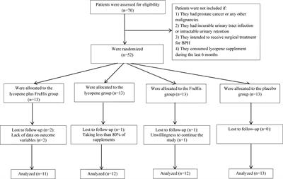 FruHis significantly increases the anti-benign prostatic hyperplasia effect of lycopene: A double-blinded randomized controlled clinical trial